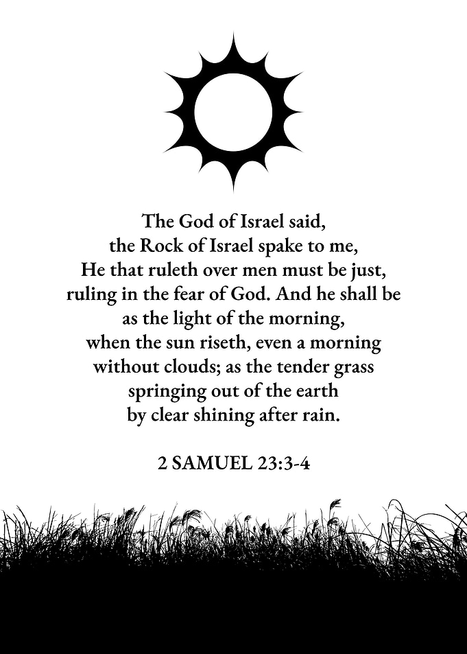 Sun and Tender Grass