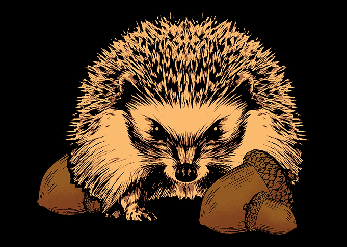 Porcupine