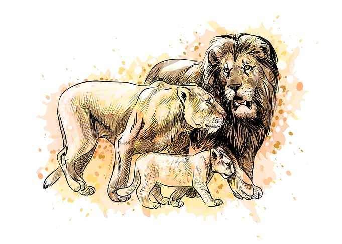 Family of lions