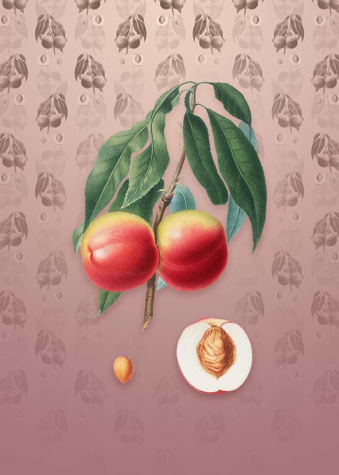 Peach on Dusty Pink