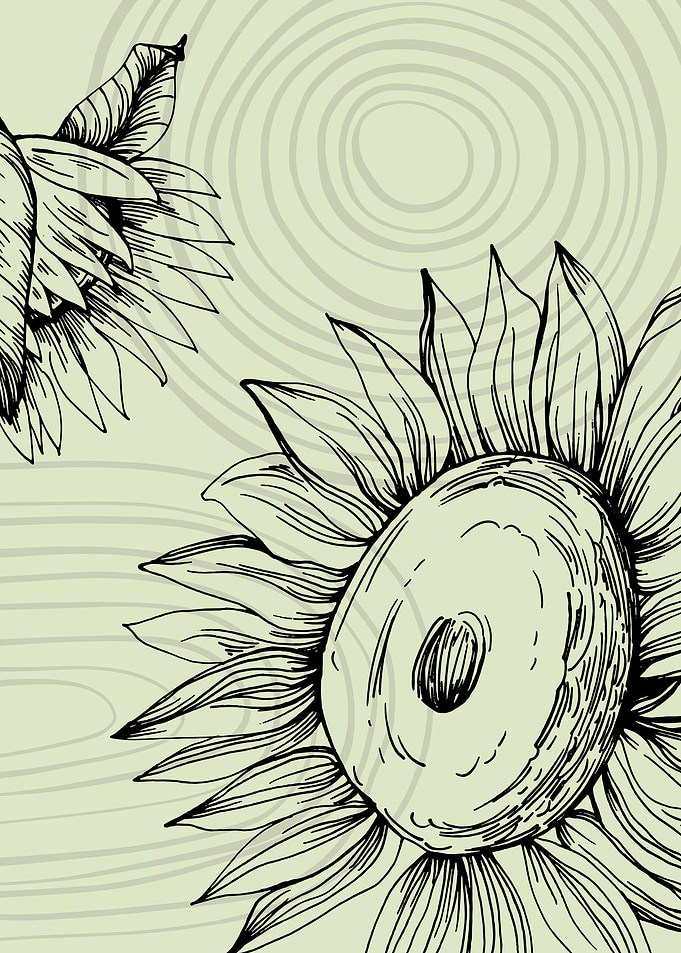 Sunflower art