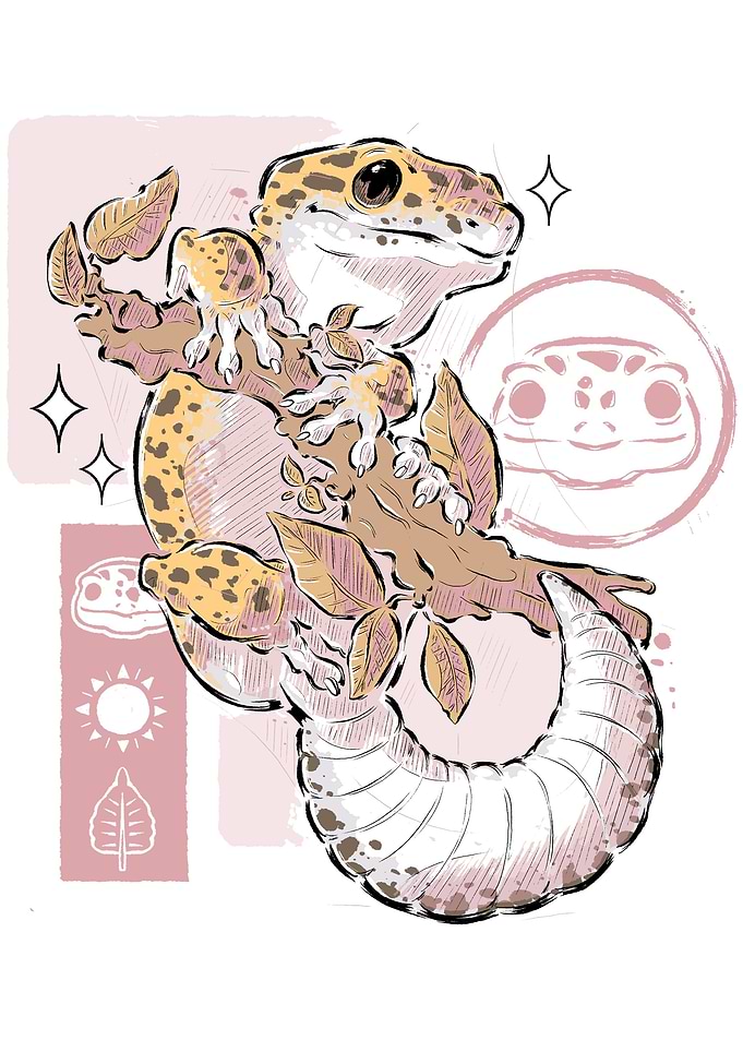 Leopard Gecko