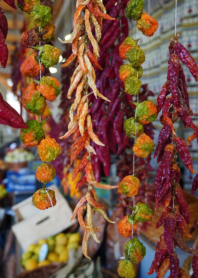 Chilli Variety