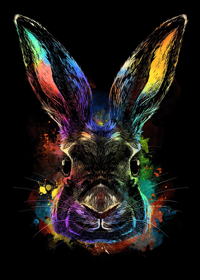 Colorful Bunny Rabbit
