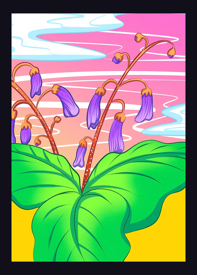 Paulownia Yellow
