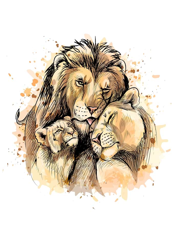 Family of lions