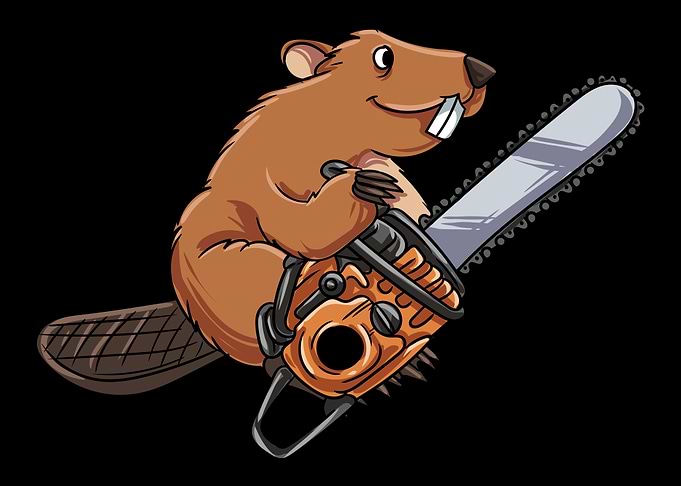 Chainsaw Arborist Lumberja