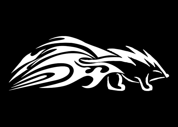 Porcupine