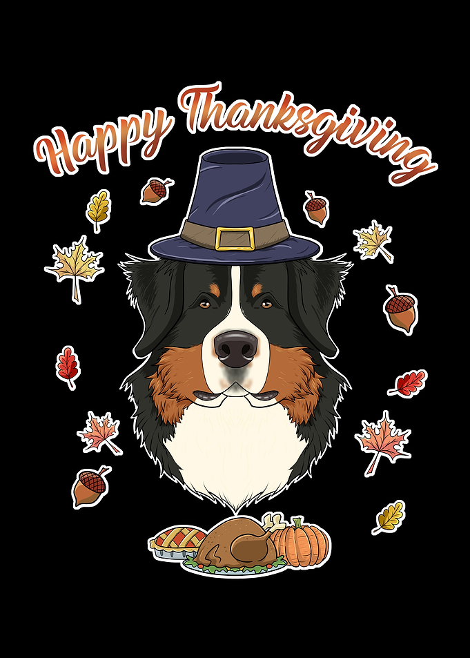 Bernese Mountain Dog