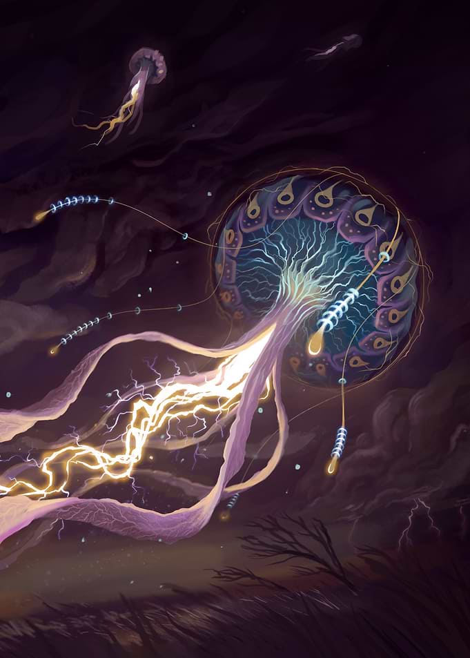 Electric Jellyfish
