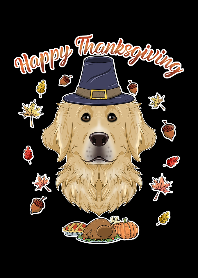 Golden Retriever Pilgrim