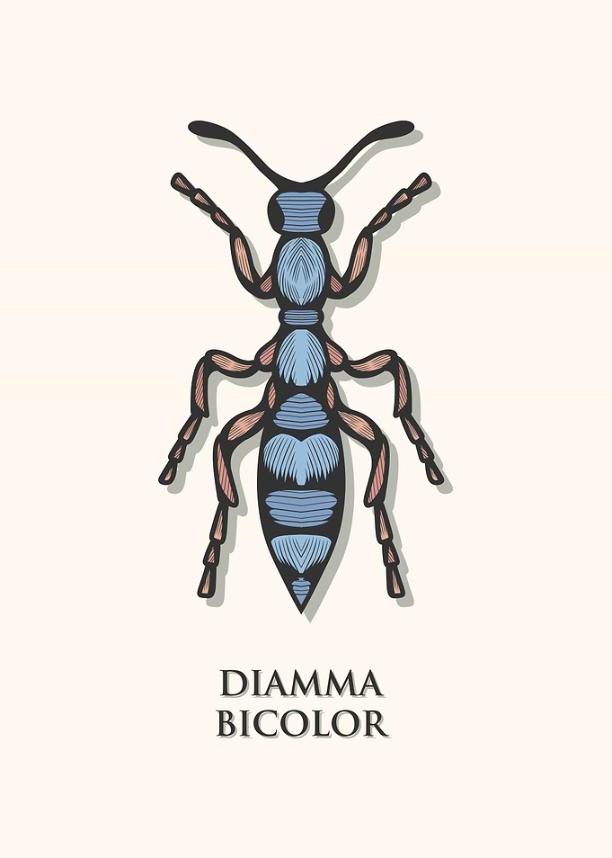 Blue Ant