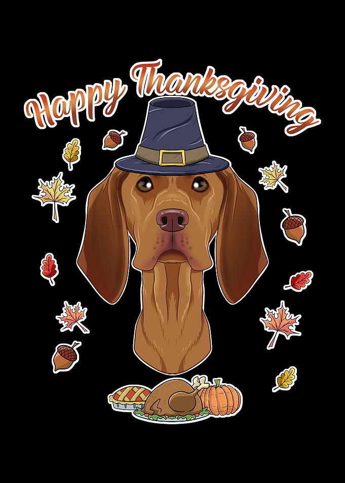 Happy Thanksgiving Vizsla