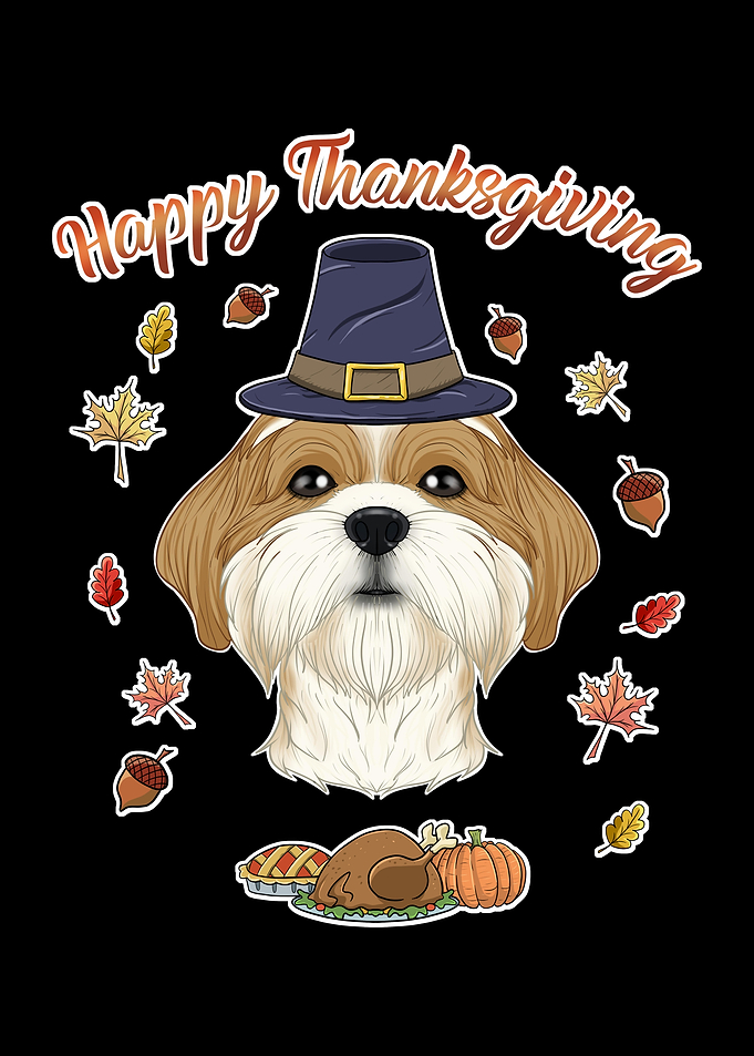 Thanksgiving Shih Tzu