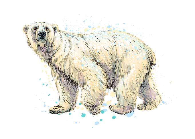 Abstract polar bear