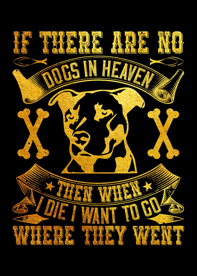 If there are no dogs in