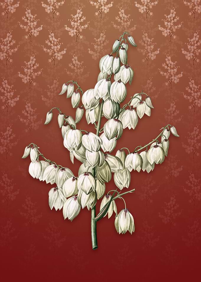Aloe Yucca on Falu Red