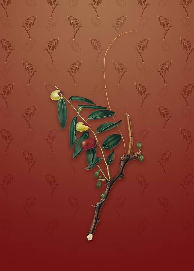 Vintage Jujube on Falu Red