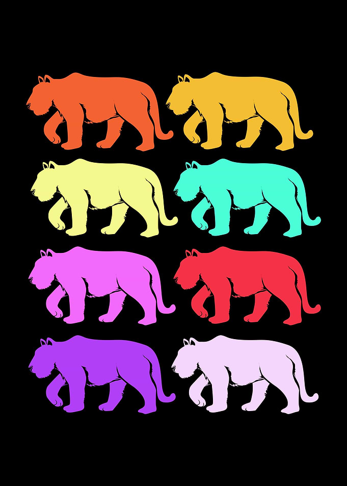 Colorful Tiger Squad