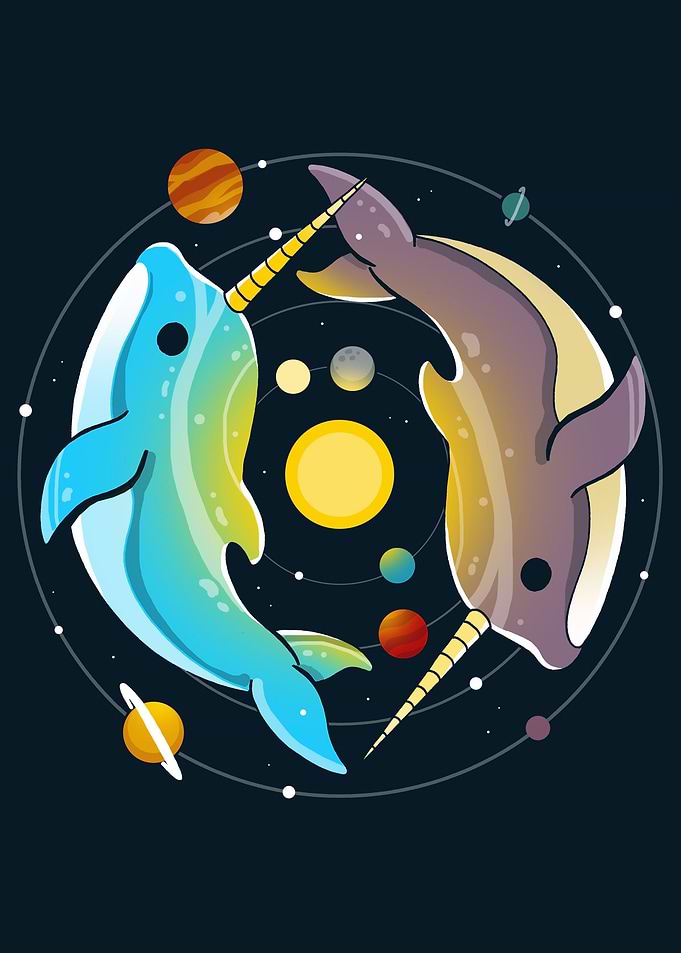 Narwhal Universe