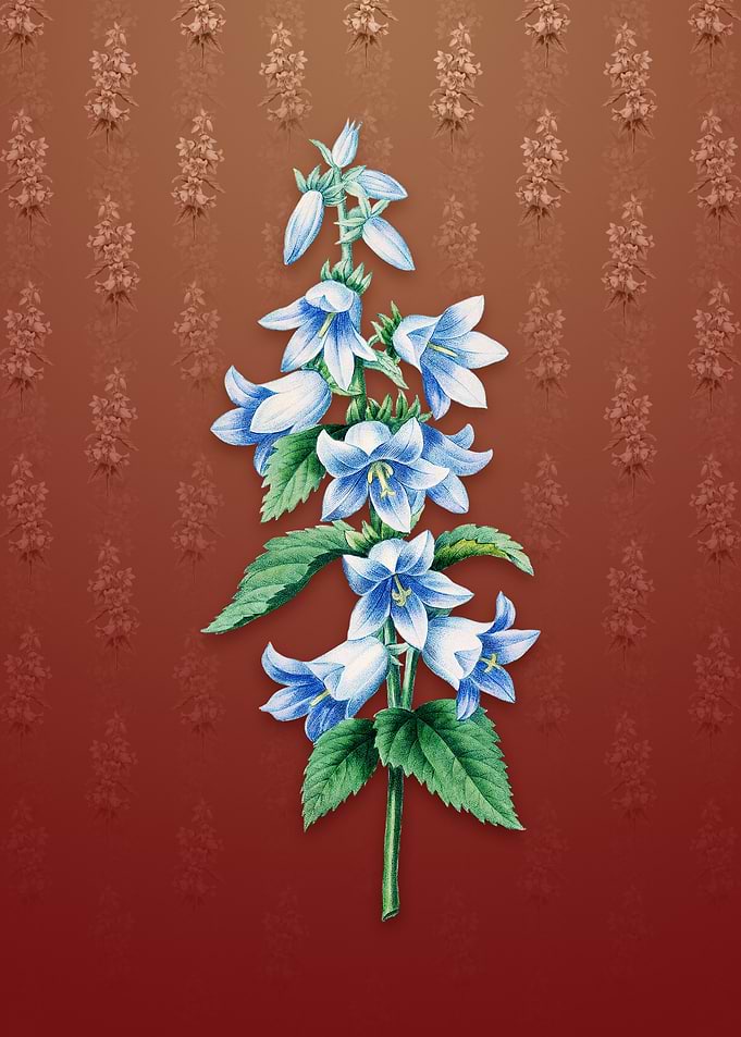 Vintage Bellflowers on Red