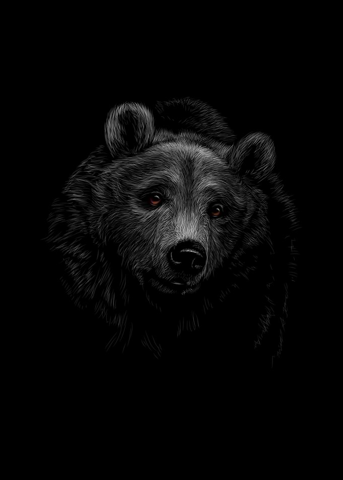 brown bear head