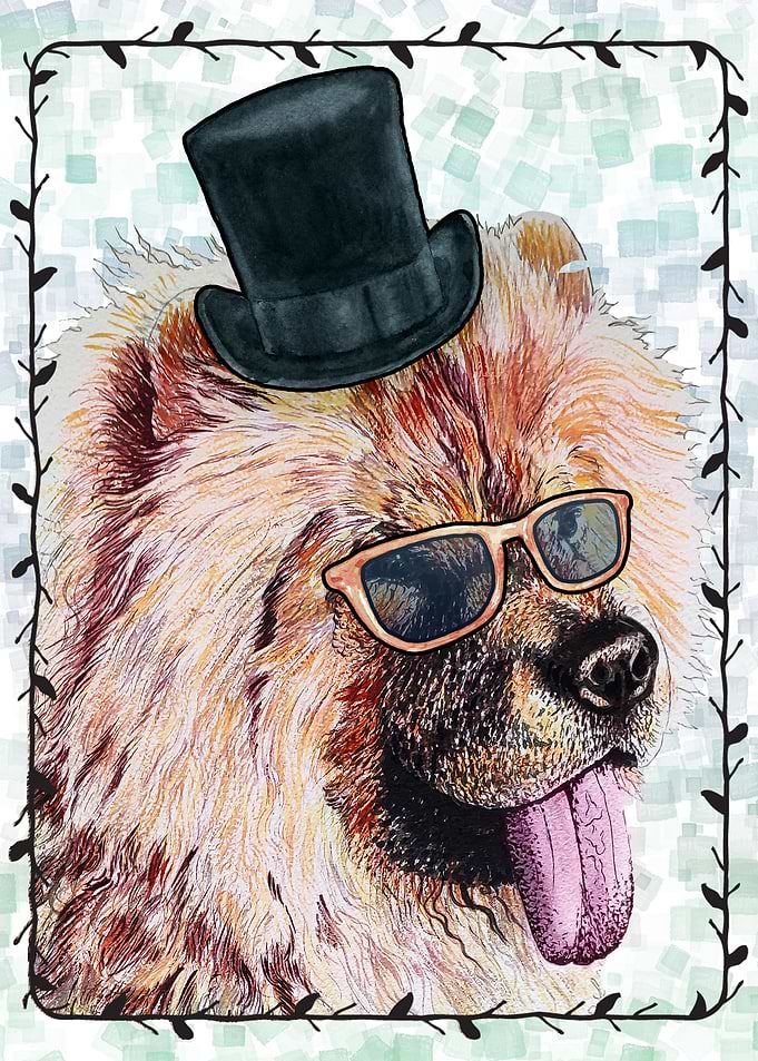 DOG CHOW CHOW PORTRAIT
