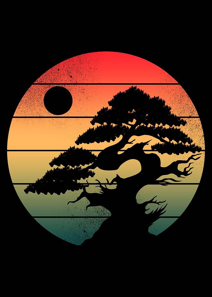 Bonsai Informal sunset