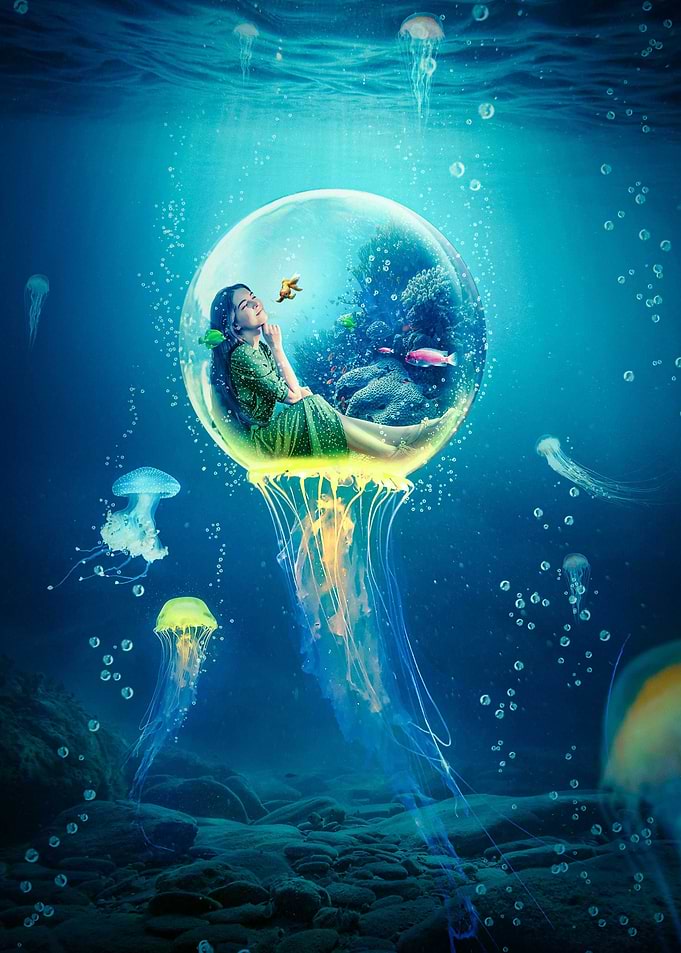 My Home in the Sea