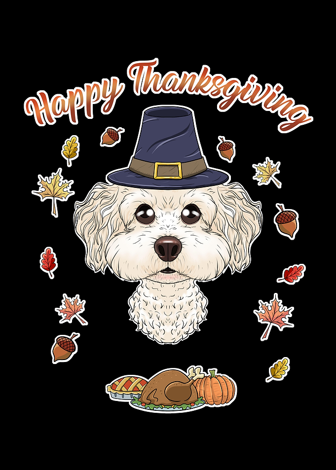 Thanksgiving Bichon Frise