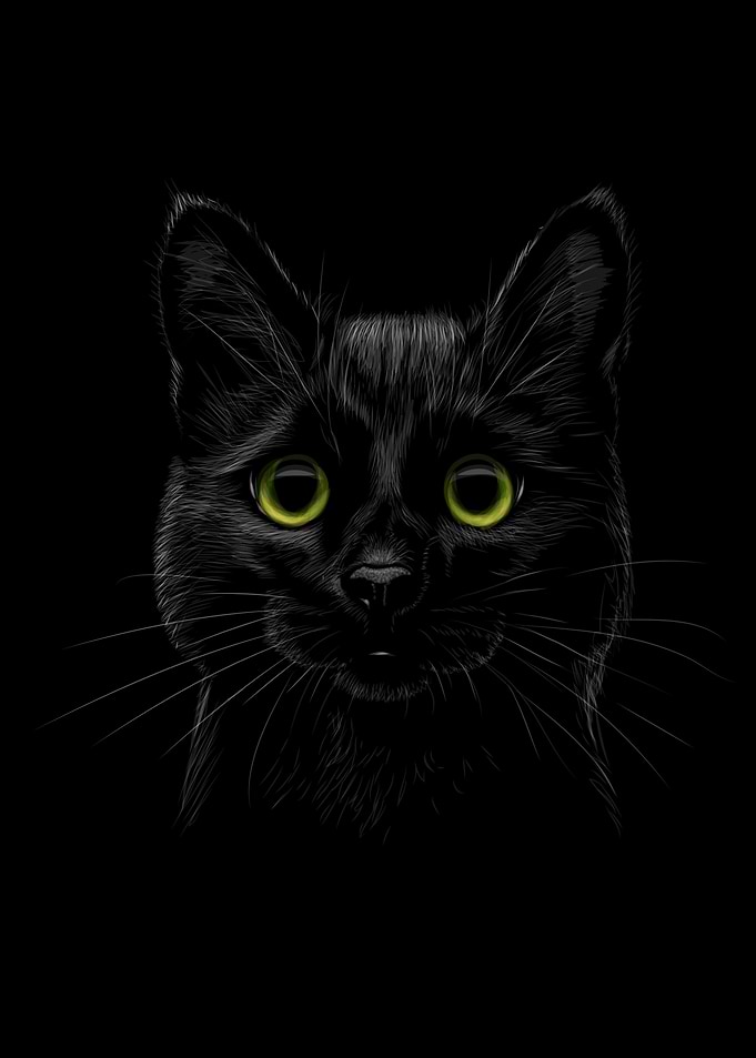 Portrait of a cat