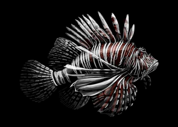Tropical fish