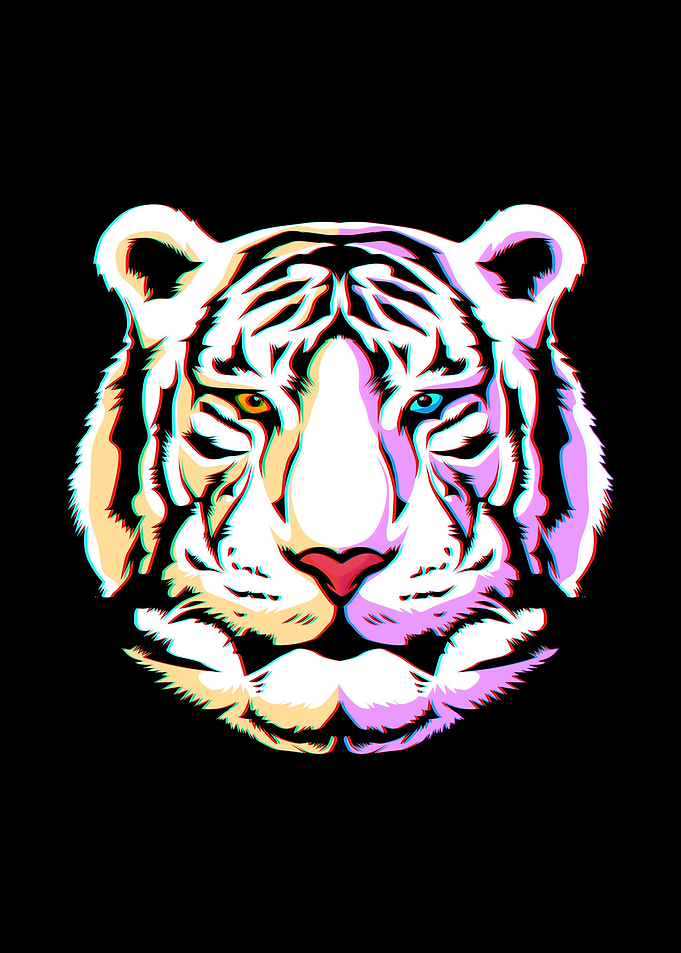 Colorful Tiger Head