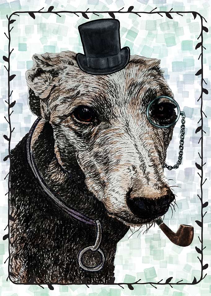 DOG GREY HOUND PORTRAIT