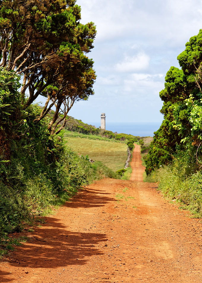 To the lighthouse