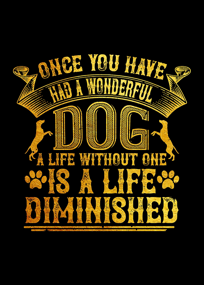 Once you have had a wonder