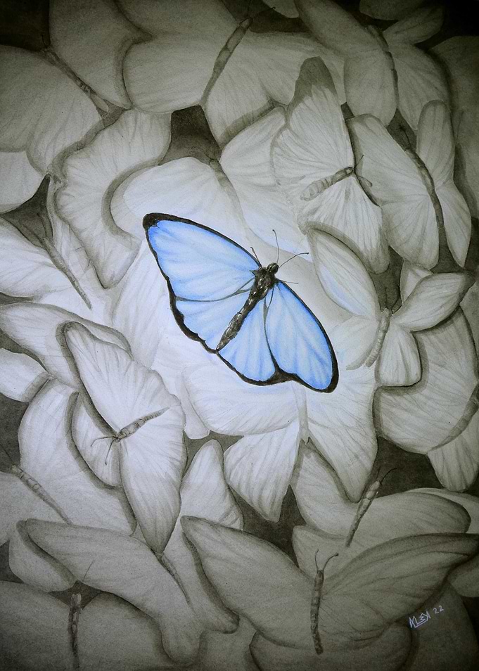 Angel - Blue Butterly