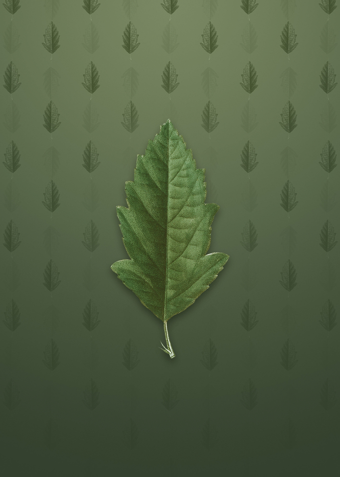 Crabapple on Lunar Green