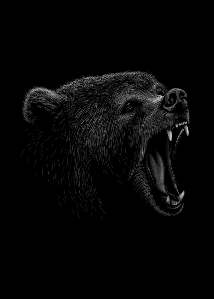 Portrait of a brown bear