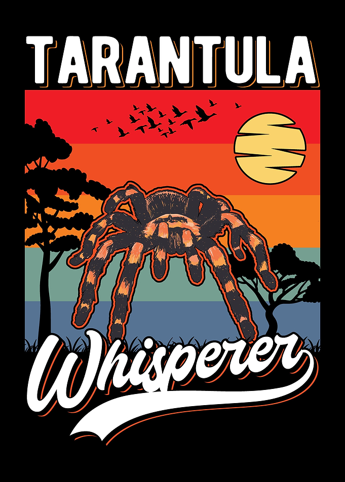 Tarantula Gift