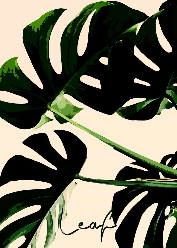Leaf