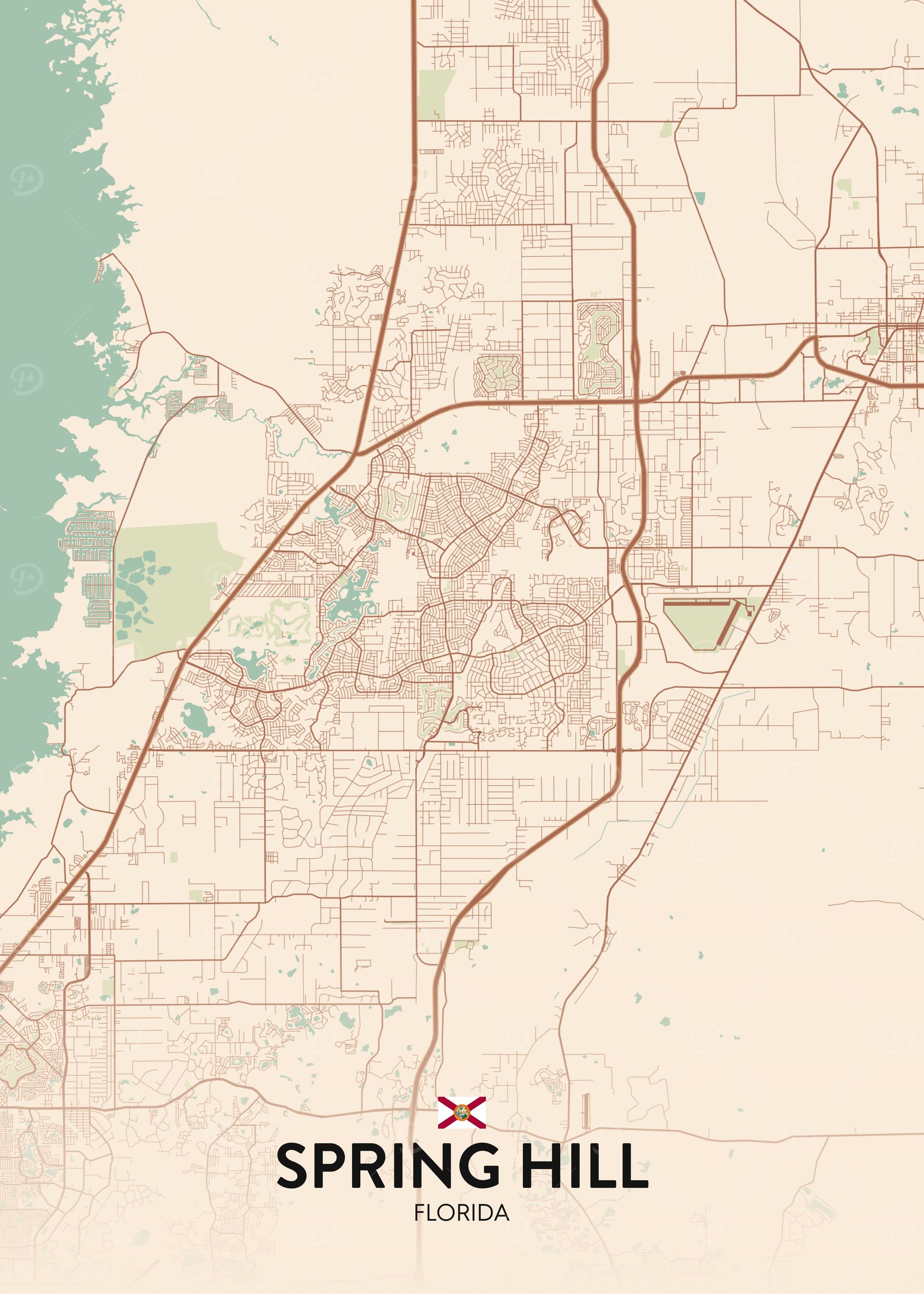 Spring Hill FL