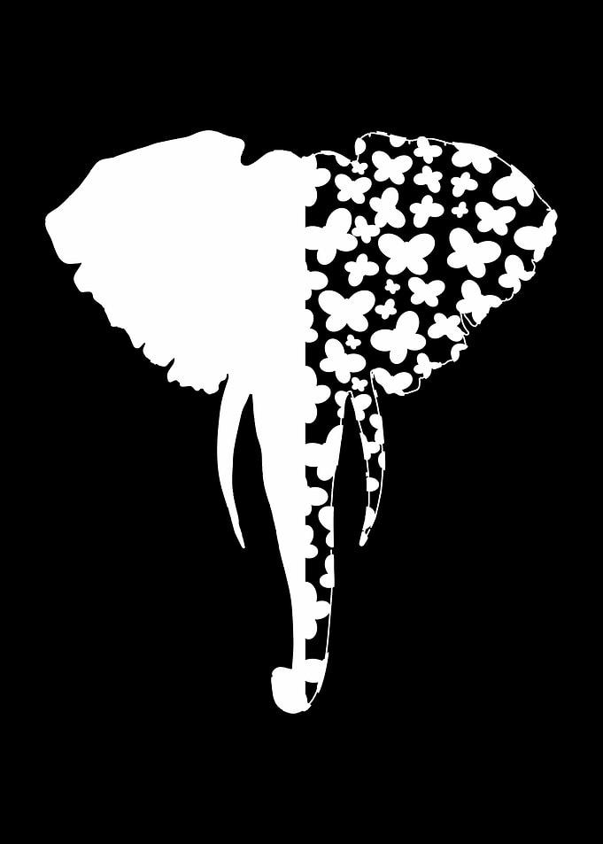 Butterfly Elephant Cute