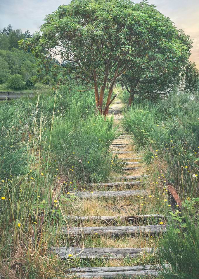 A walk in time