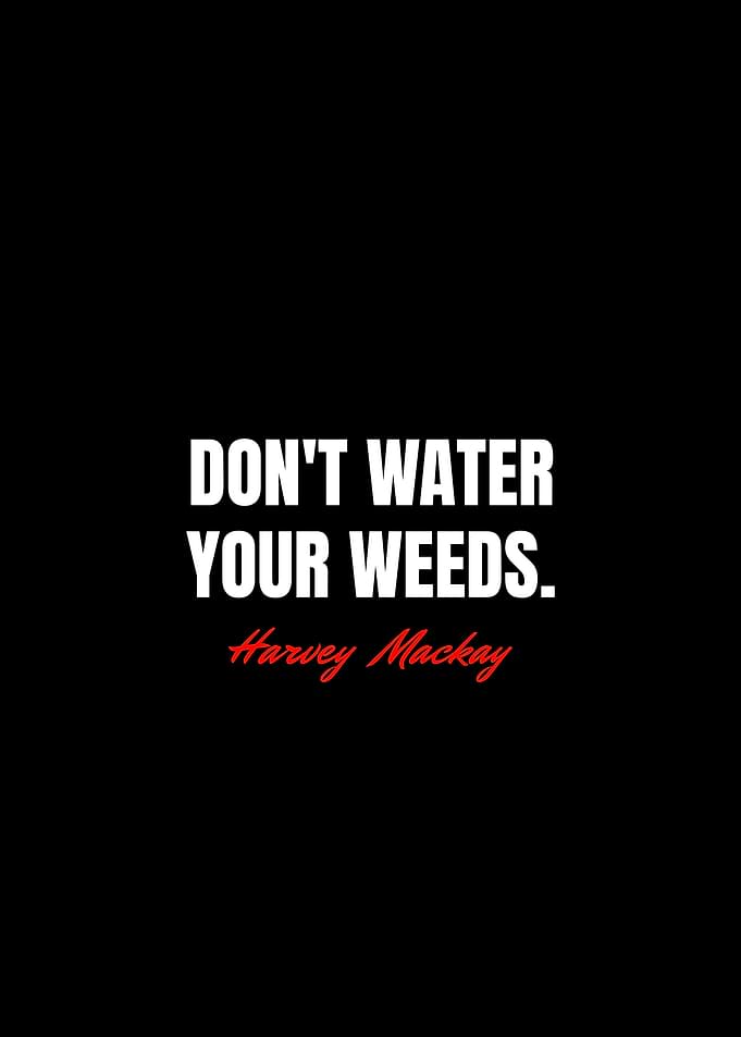 Harvey Mackay Quotes