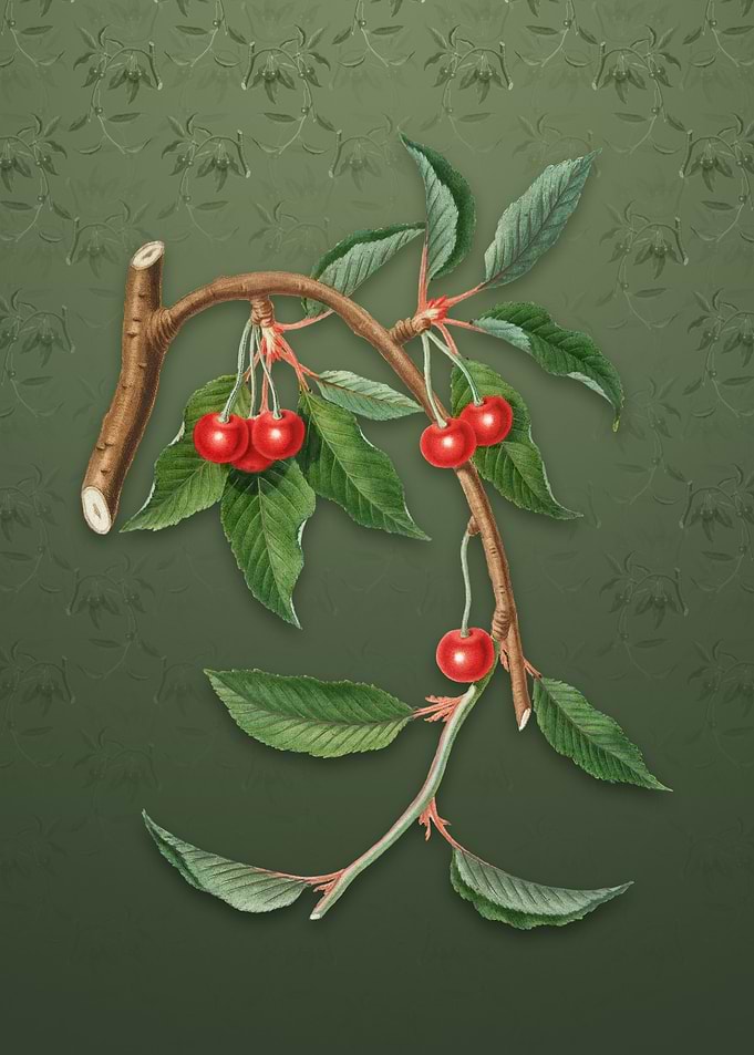 Cherry on Lunar Green