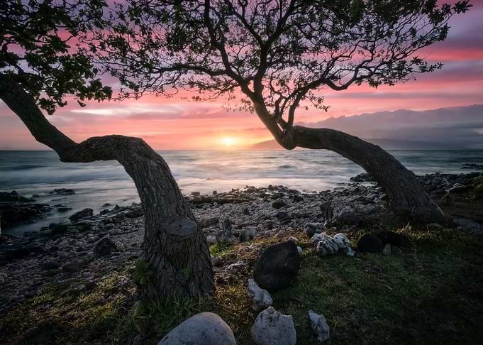 Maui Sunset