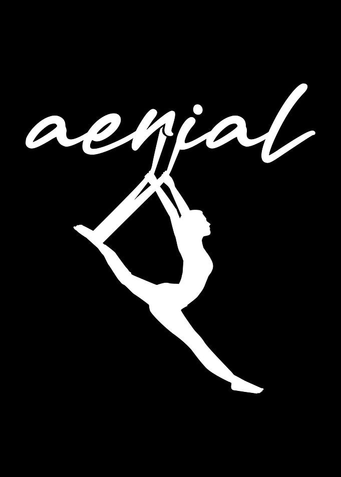 Aerial Yoga Silks Acrobat
