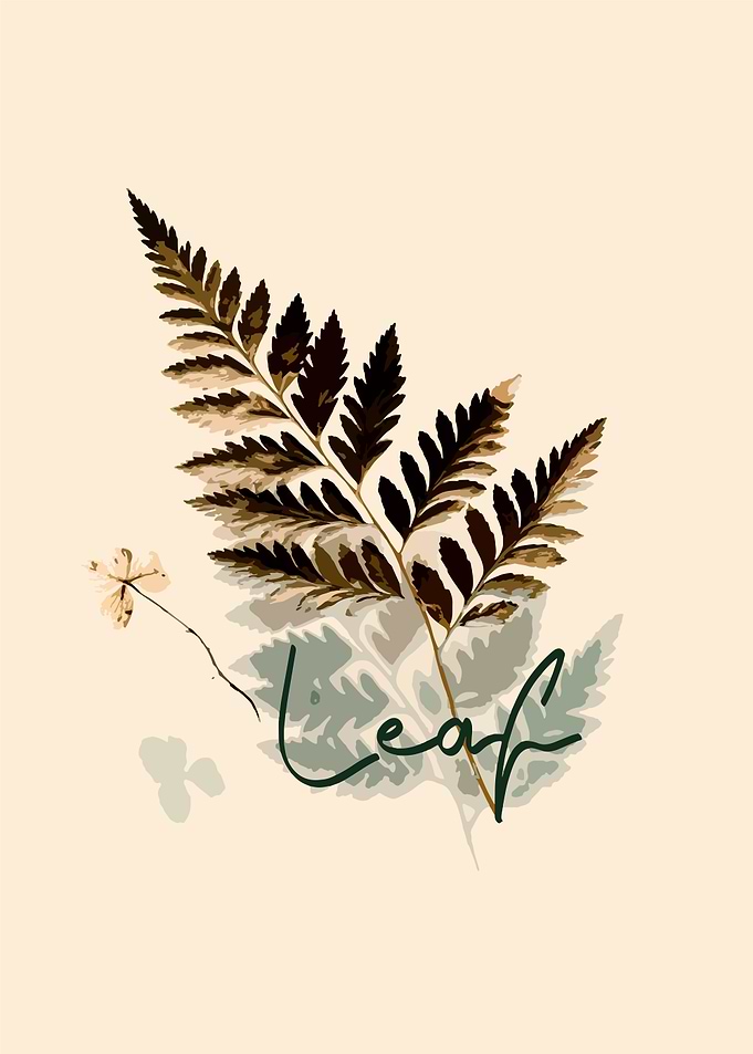 Leaf