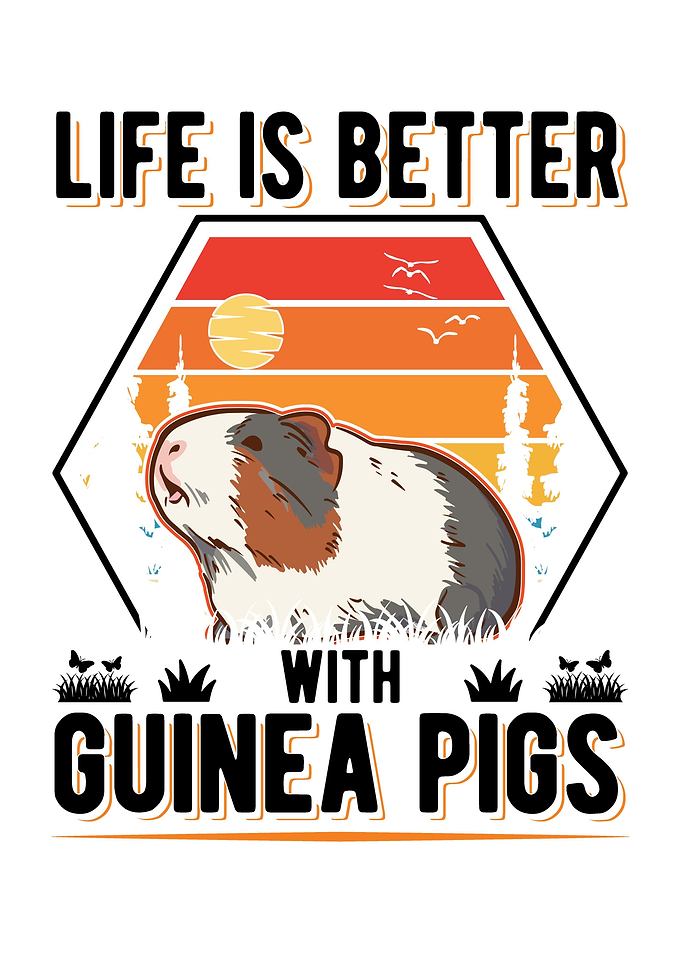 Guinea Pig Gift
